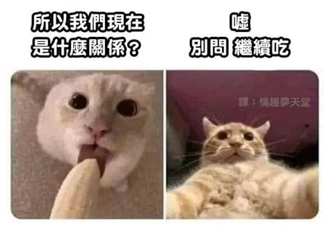 所以我們現在是什麼關係|曖昧對象問：我們現在是什麼關係...